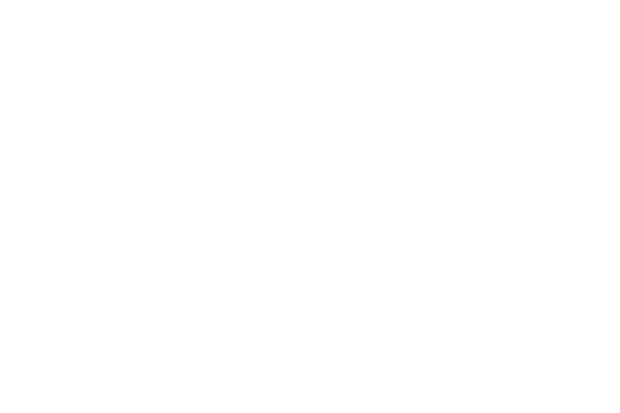 We Verify Logo